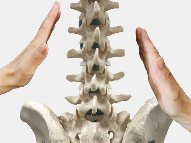 骨盤矯正は専門院で治療を受けることを強く推奨します